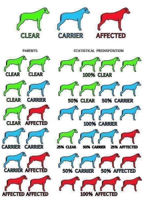 clear-chart