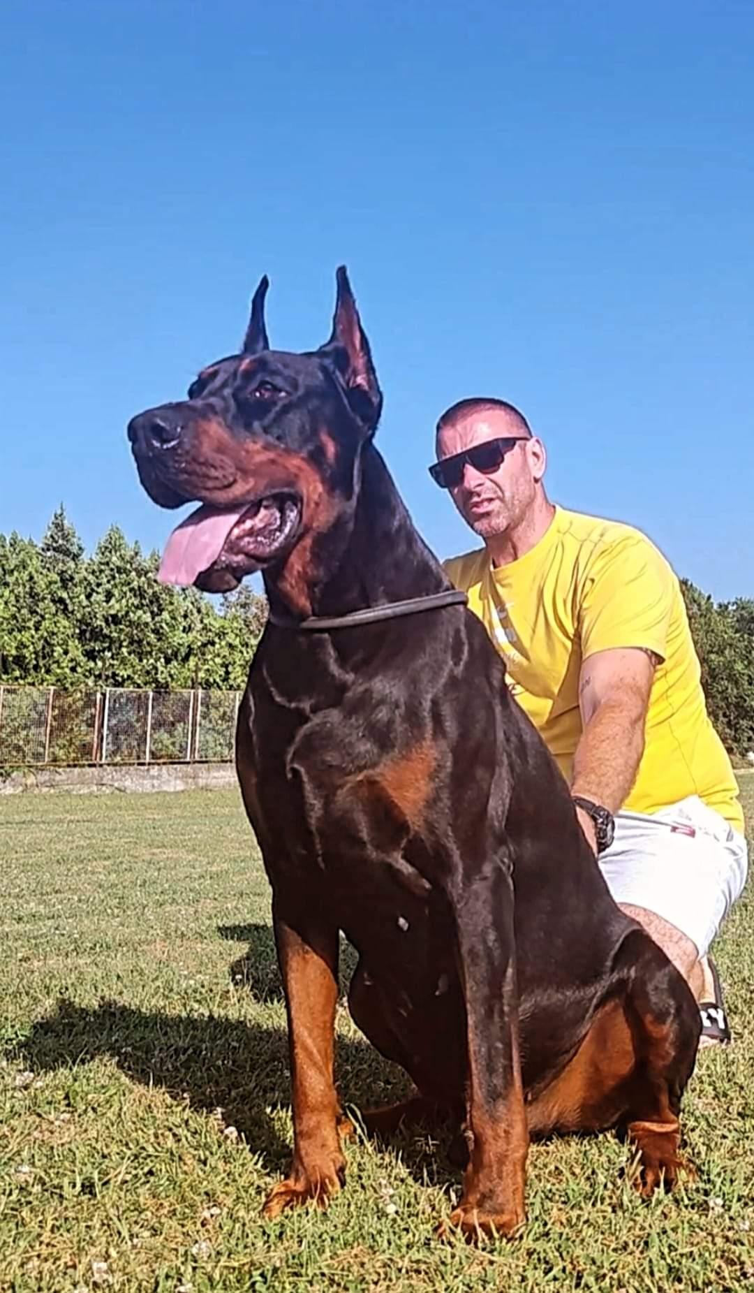 GOTTI